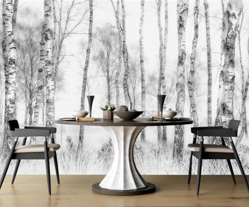 Gray Birch Tree Wallpaper Mural Peel and Stick - Image 3