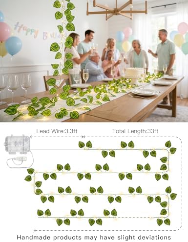 suddus 33FT Watermelon Vines - Image 7