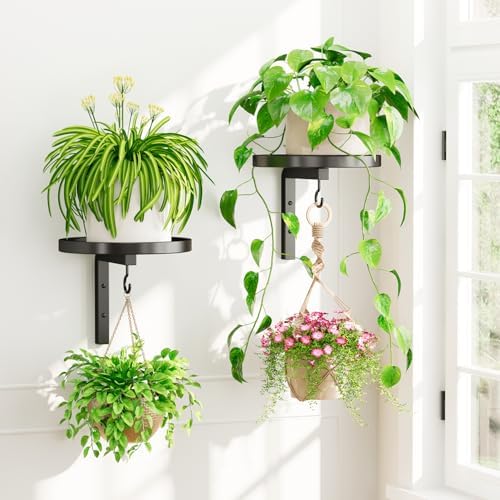 iDavosic.ly Plant Wall Hanger Holder Set of 2 by iDavosicly