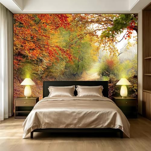 Trail Forest Leisure Timewall murals Woodland Tree Peel and Stick self Adhesive by SIDIANYA
