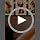 Teddy Bear Sports Nursery Animal Wall Art Cute Woodland Rugby Wall Decor - Image 7