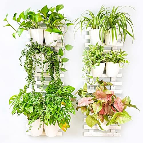 ShopLaLa Wooden Wall Planters by ShopLaLa