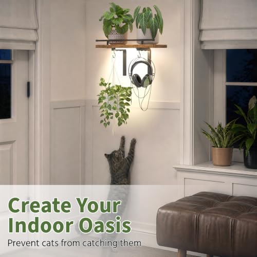 LASZOLA Wall Plant Shelves Floating Hanger Holder - Image 6
