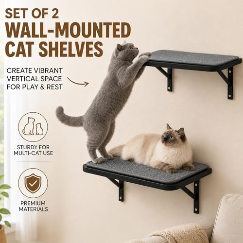 Cat Wall Shelves Set of 2, Wall-Mounted Space-Saving Climbing Bed, Lounging - Image 4
