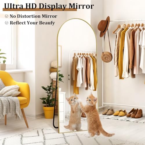 Arched Full Length Floor Mirror - Image 6