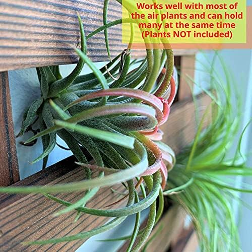 ShopLaLa Wall Planter - Image 3