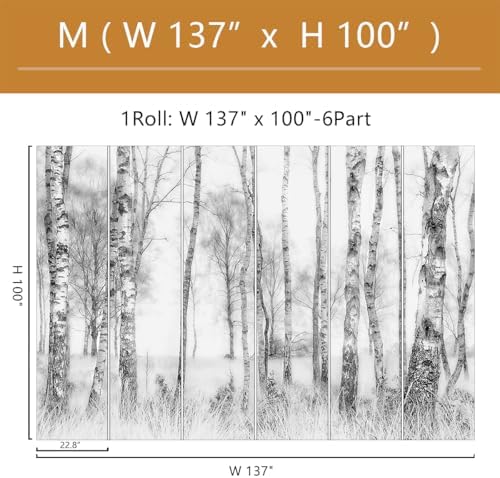 Gray Birch Tree Wallpaper Mural Peel and Stick - Image 4