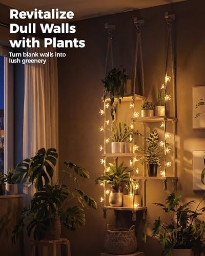 Bamworld Hanging Shelves with Grow Light Plant Hanger Indoor Window Plant - Image 6