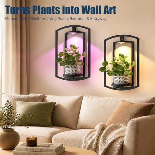 Wall Plant Holder with Remote Grow Lights, Framed Plants Holder - Image 2