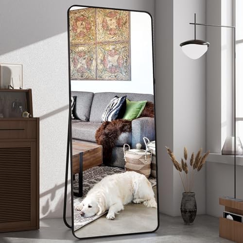 64"x21" Full Length Mirror, Full Body Rounded Corner Rectangle Mirrors - Image 6