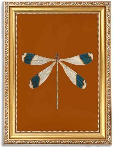 Gold Framed Dragonfly Wall Art, Antique Insect Picture Wall Decor11x9in by BringCharacterHome