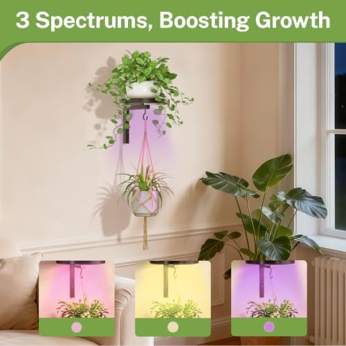 iDavosic.ly Plant Wall Hanger - Image 5