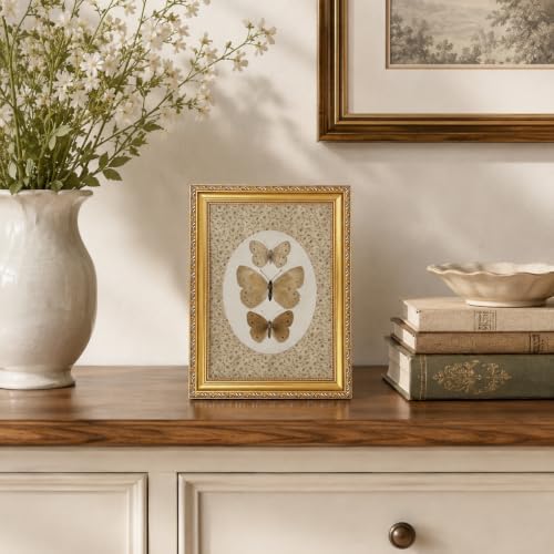 Vintage Butterfly Specimen Wall Art - Image 4