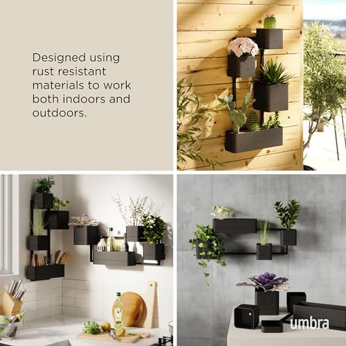Umbra Cubiko Wall-Mount Planter - Image 4