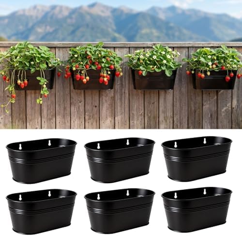 LaLaGreen Hanging Wall Planter Black Metal Plant Shelf by L%C3%A1L%C3%A1Green