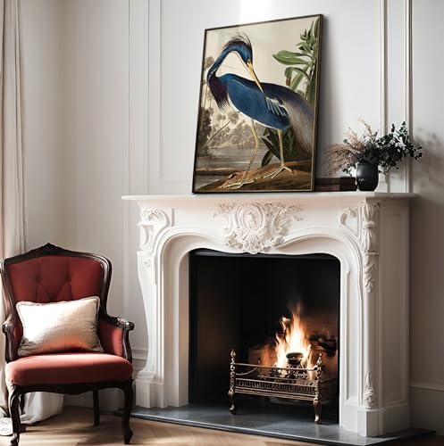 Poster Master Vintage James Audubon Poster - Image 4