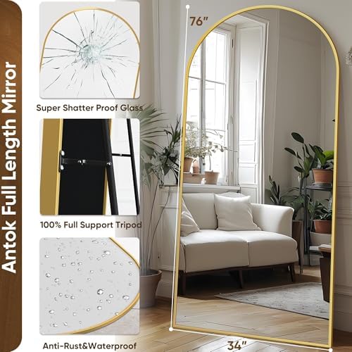 Antok 76" x34” Arched Full Length Mirror - Image 5