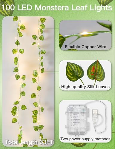 suddus 33FT Watermelon Vines - Image 5