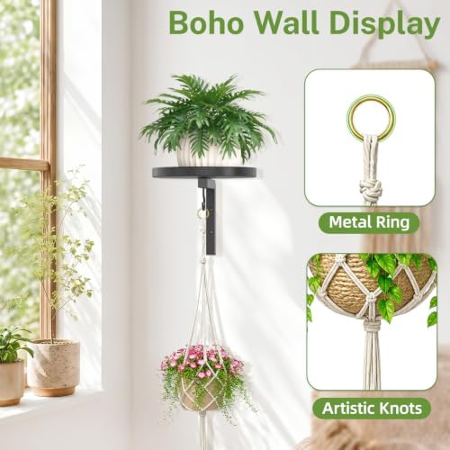 iDavosic.ly Wall Plant Holder - Image 3