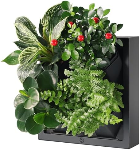 Wall Mounted Planter, Vertical Garden by Unknown