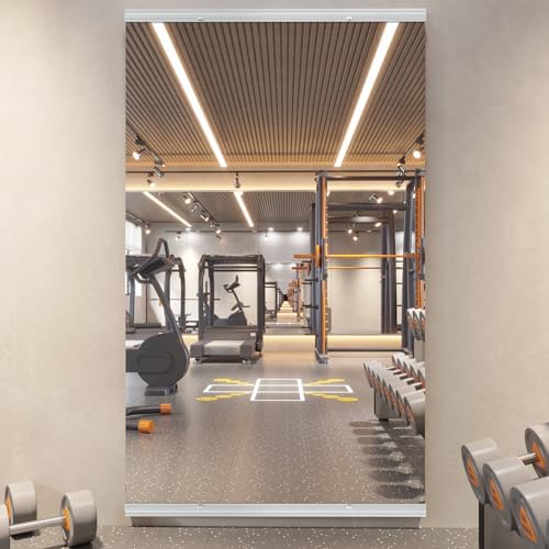 pertetey 48x 24 in Home Gym Mirrors, Tempered Glass by PERTETEY