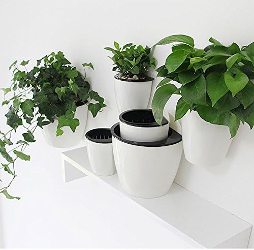 Sungmor Plastic Self Watering Wall Planter by Sungmor