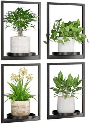 Hanging Planters for Indoor Plants by Qiaogreen