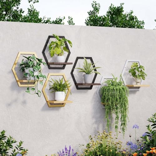 2 Pack Hexagon Wall Plant Stands, 9 Inch Walnut Wood Shelf Black - Image 5