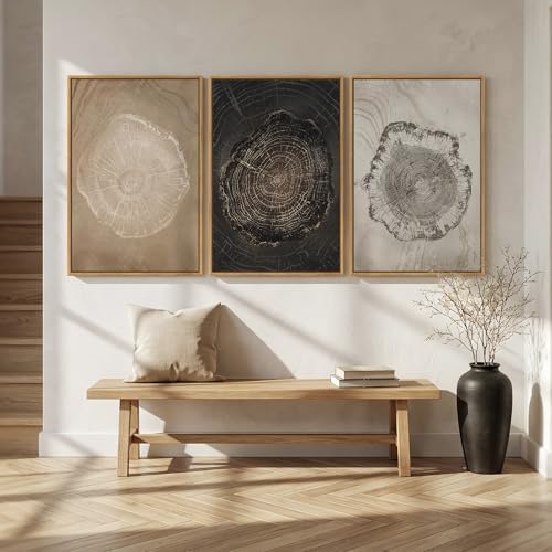 3 Piece Large Framed Neutral Tree Ring Wall Art - Image 5