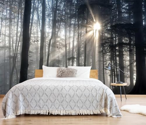 Toolhom Misty Forest Mysterious Sunrise Mural, Forest Wallpaper - Image 2
