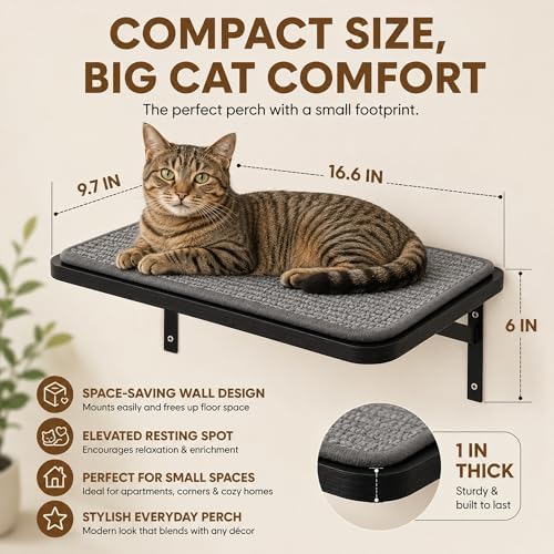 Cat Wall Shelves Set of 2, Wall-Mounted Space-Saving Climbing Bed, Lounging - Image 2