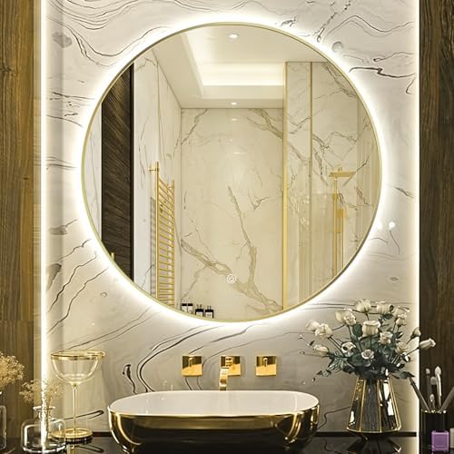 24" Round LED Bathroom Mirror, Wall Mounted Round Backlit Mirror LED Bathroom by TheiaMo