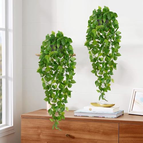Waipfaru Fake Hanging Plants - Image 7