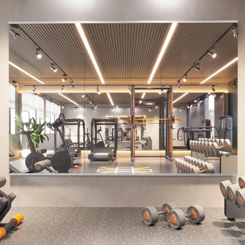 pertetey 48 x 24 in Home Gym Mirrors by PERTETEY