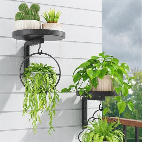 iDavosic.ly Plant Wall Hanger Set of 2 by iDavosicly