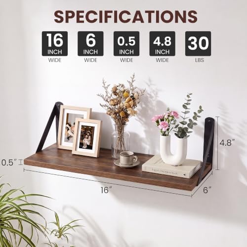 Walnut Shelves for Wall, 16 x 6 Set of 2 - Image 3