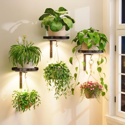 iDavosic.ly Plant Wall Hanger by iDavosicly