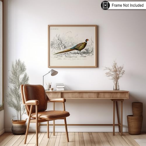 Poster Master Vintage Ring Necked Pheasant Poster - Image 6