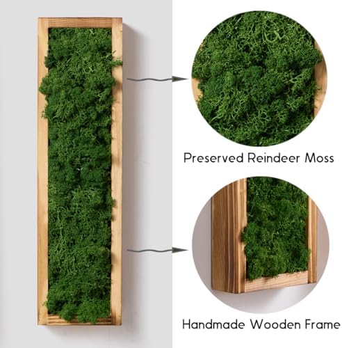 Mokof Preserved Moss Wall Art Decor, Forest Green, 4 Pack - Image 4