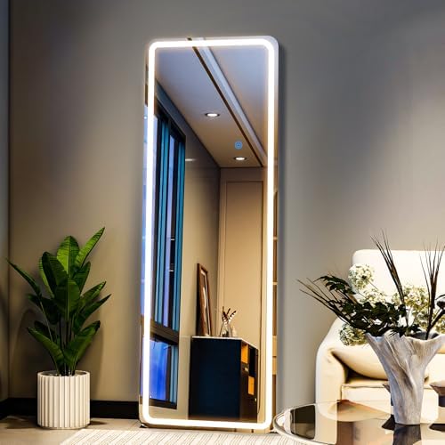 68" x 26" Rectangle Full Length Mirror by WISSMIELSHOME