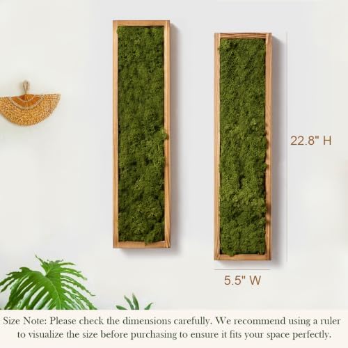 Mokof Preserved Moss Wall Art Decor, Moss Green, 2 Pack - Image 3