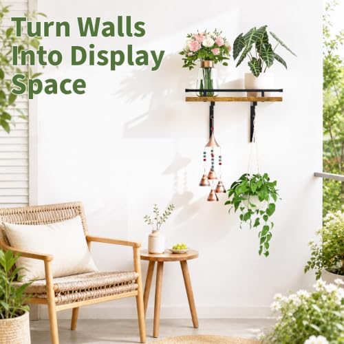 LASZOLA Wall Plant Shelves Floating Hanger Holder Indoor - Image 6