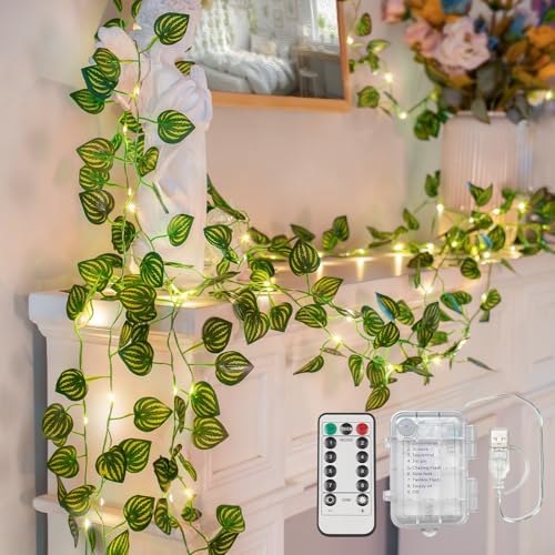 suddus 33FT Watermelon Vines by SUDDUS