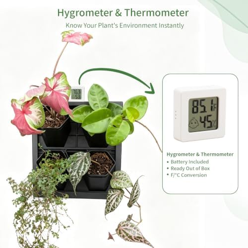 FRESH SPEED Self-Watering Wall Planters - Image 3