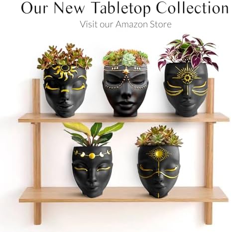 Face Wall Planter | 7 Colors Available | Unique Head Planter - Image 6