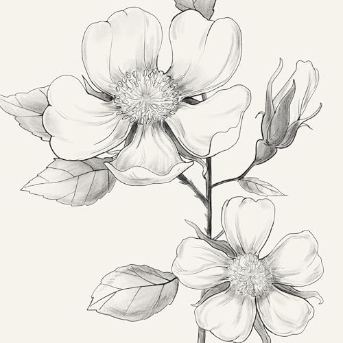 Framed Black and White Floral Wall Art, 4 Piece Vintage Gray Botanical Canvas - Image 5