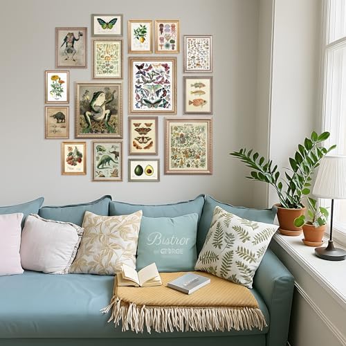 LANCHI95 16 Pcs Unframed Vintage Botanical Biology Art - Image 7