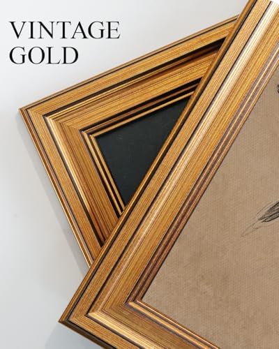 VIYYIEA Vintage Gold Framed Wall Art, Hummingbird Sketch Print, 12x16 inch - Image 6