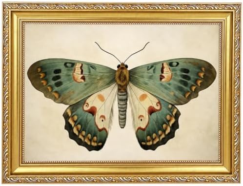 Vintage Butterfly Wall Art, 9x11 in by BringCharacterHome