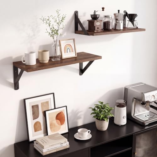 Walnut Shelves for Wall, 16 x 6 Set of 2 - Image 4